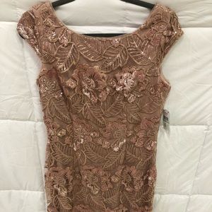 This is for a new Alex evenings dress